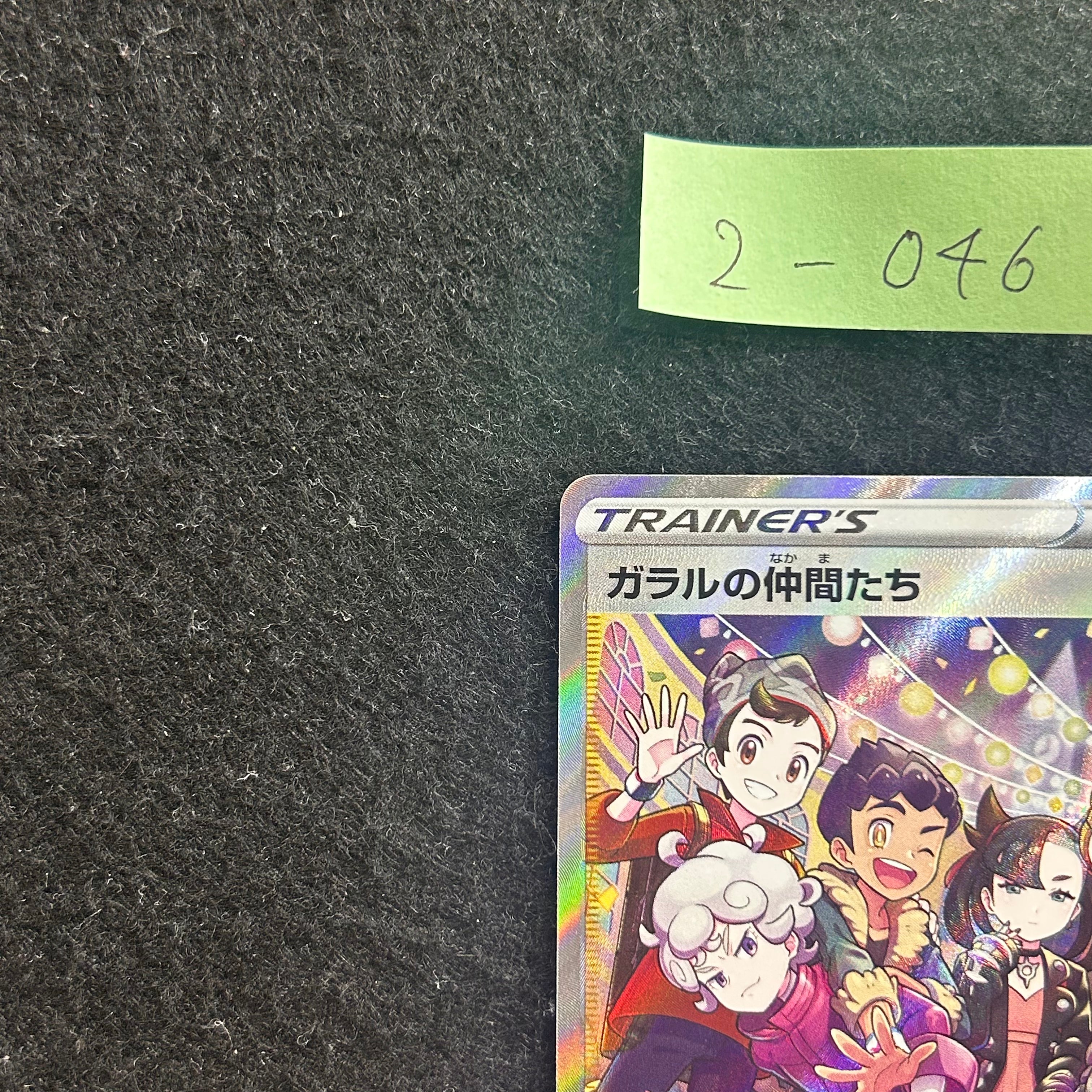 ガラルの仲間たち【SR】{258/184}　2-046