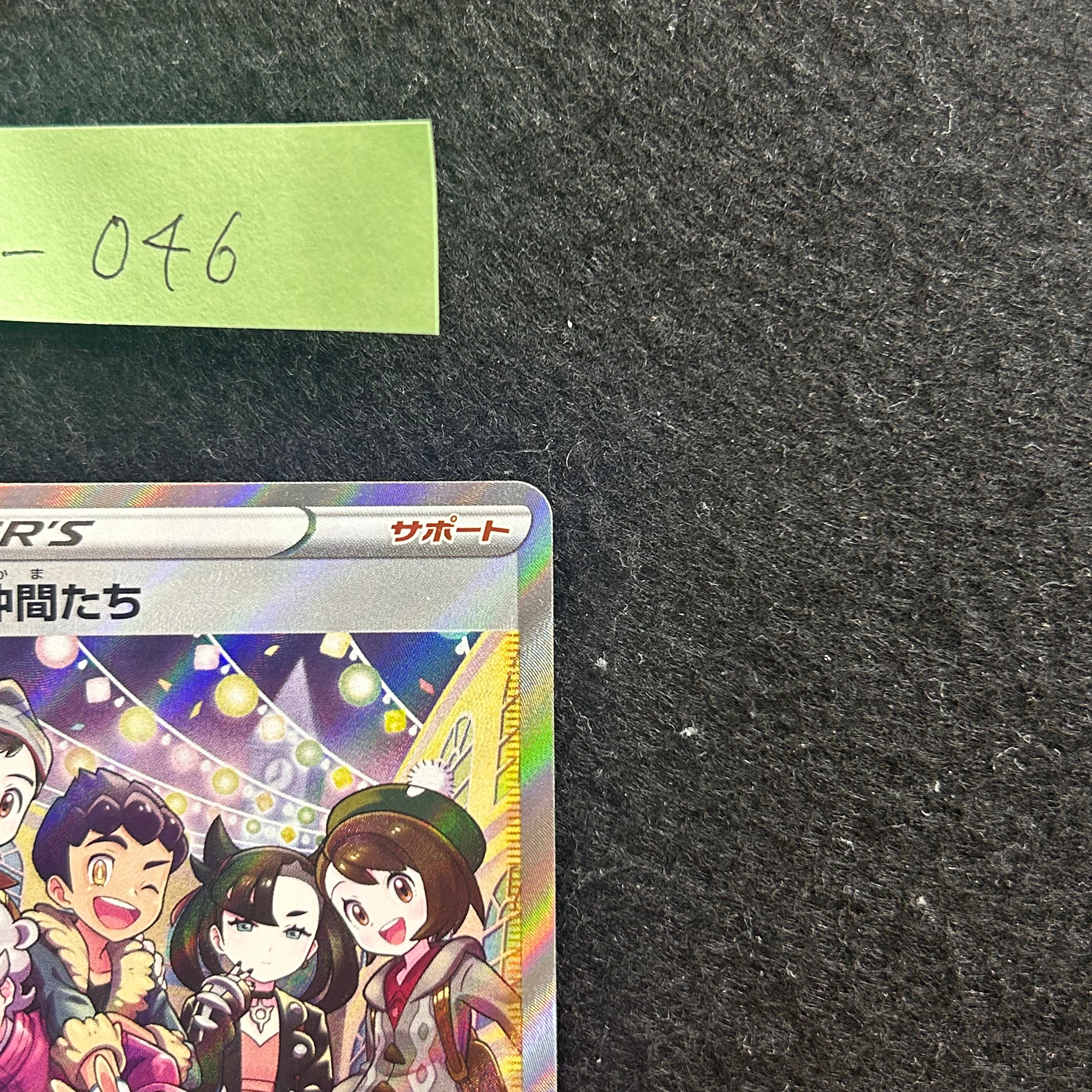 ガラルの仲間たち【SR】{258/184}　2-046
