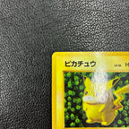 ピカチュウ LV.16(光沢あり/Ken Sugimori)【-】{旧裏}  3-551