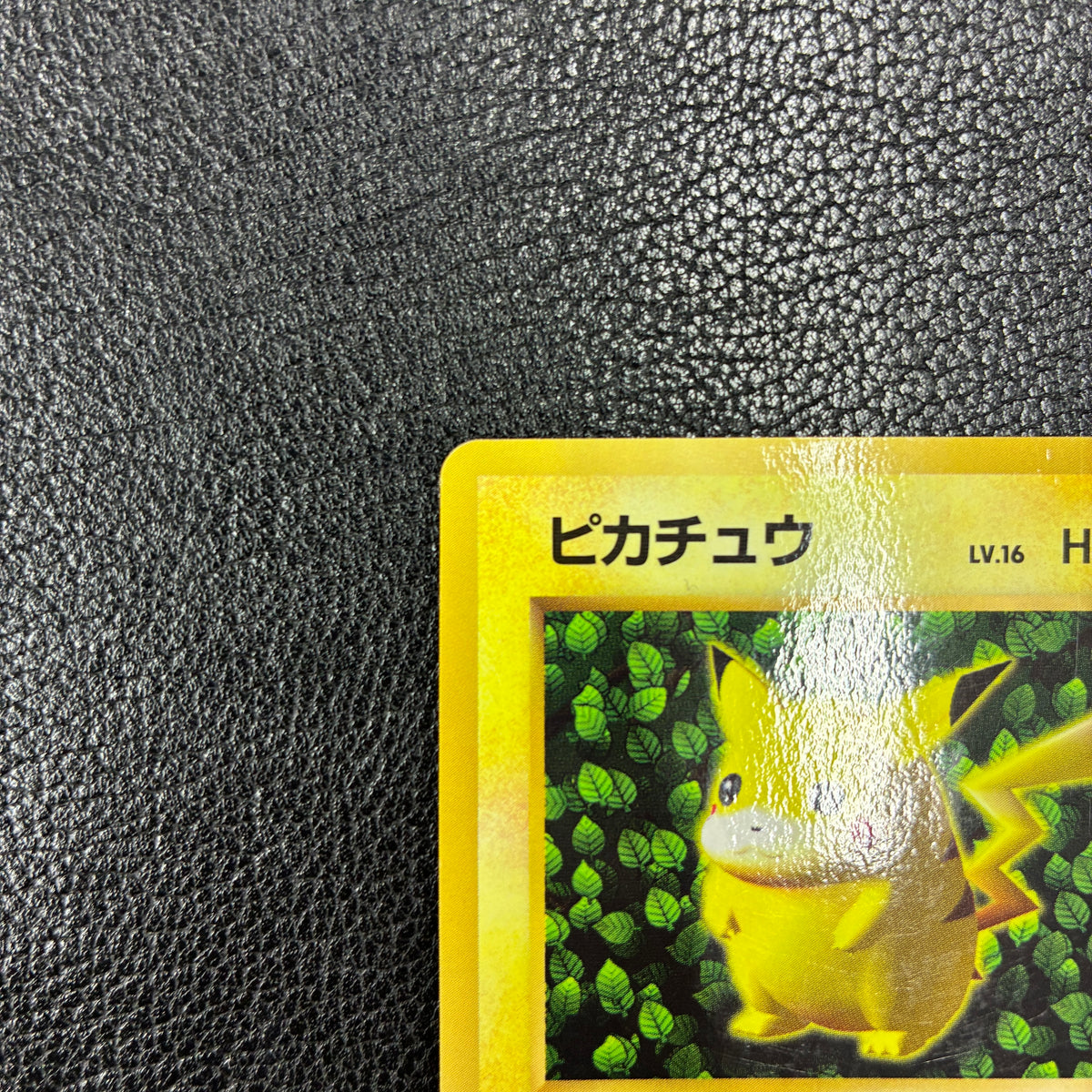 ピカチュウ LV.16(光沢あり/Ken Sugimori)【-】{旧裏}  3-551