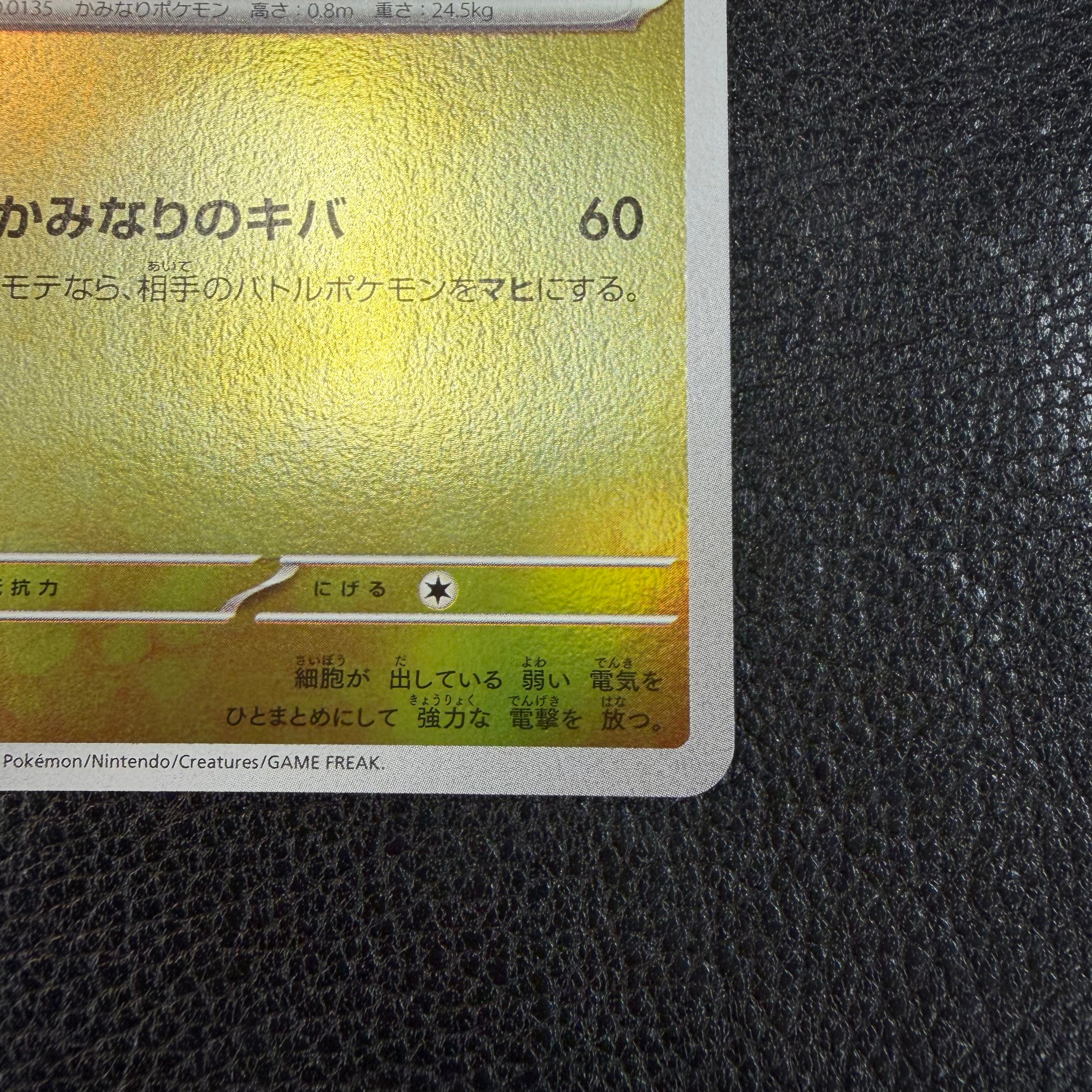 サンダース(YU NAGABA)【P】{064/SV-P} [SV-P] 1-0001