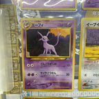 旧裏ポケモンカード　neo シリーズ第2弾 プレミアムファイル2
